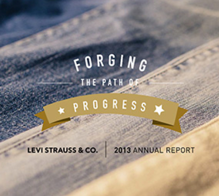 levis annual report