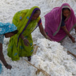 better cotton initiative